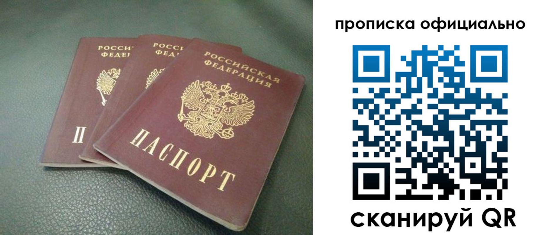 прописка для школы в Гвардейске